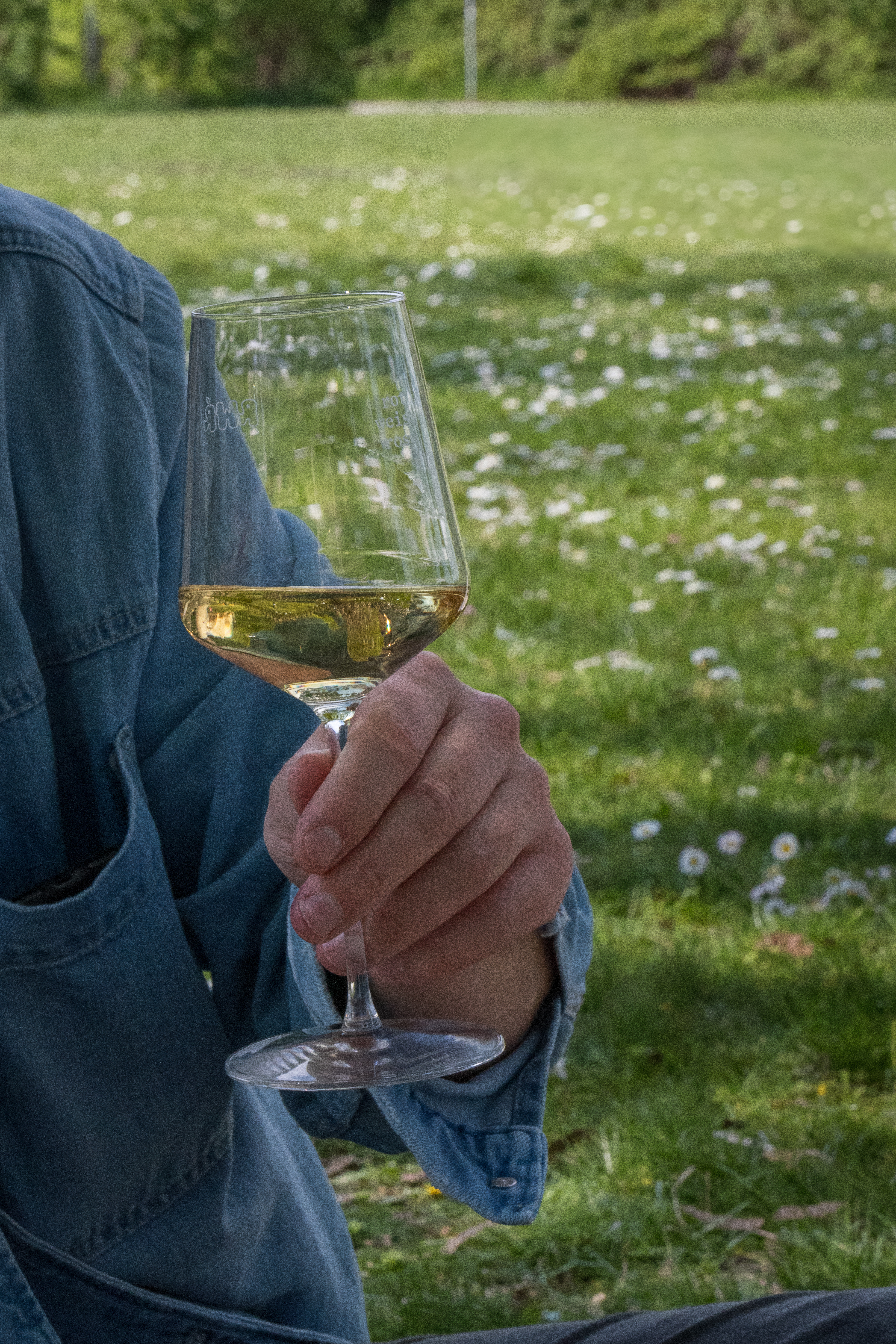 Ein junger Mann hält ein Glas Weißwein.