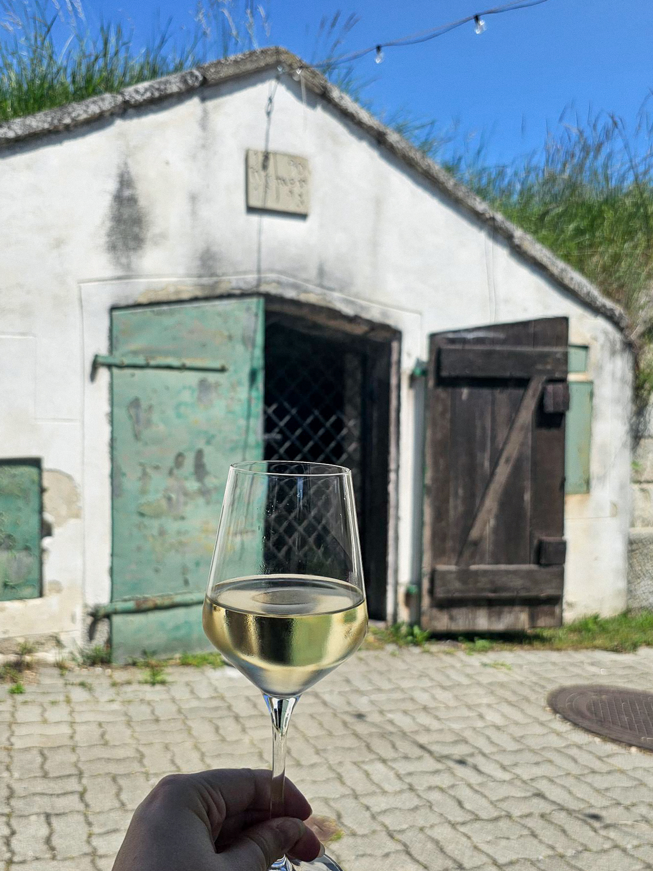 Ein Glas Weißwein in der Kellergasse in Breitenbrunn.