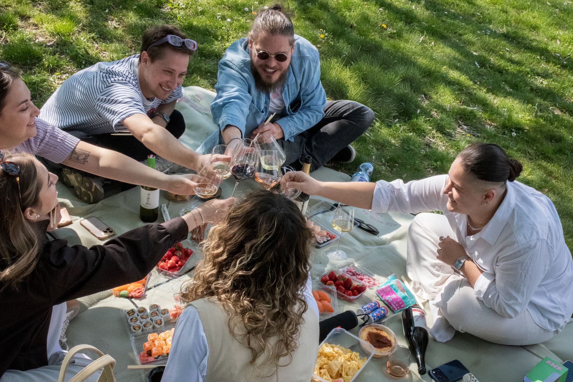 Eine Freundesgruppe beim Picknick mit Rotwein, Weißwein und Rosé-Wein aus Österreich