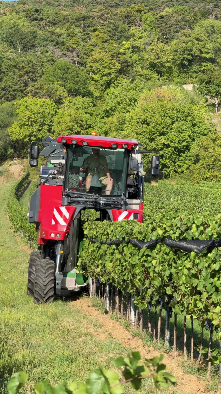 Ein Bild zeigt eine Weinlesemaschine im Weingarten.