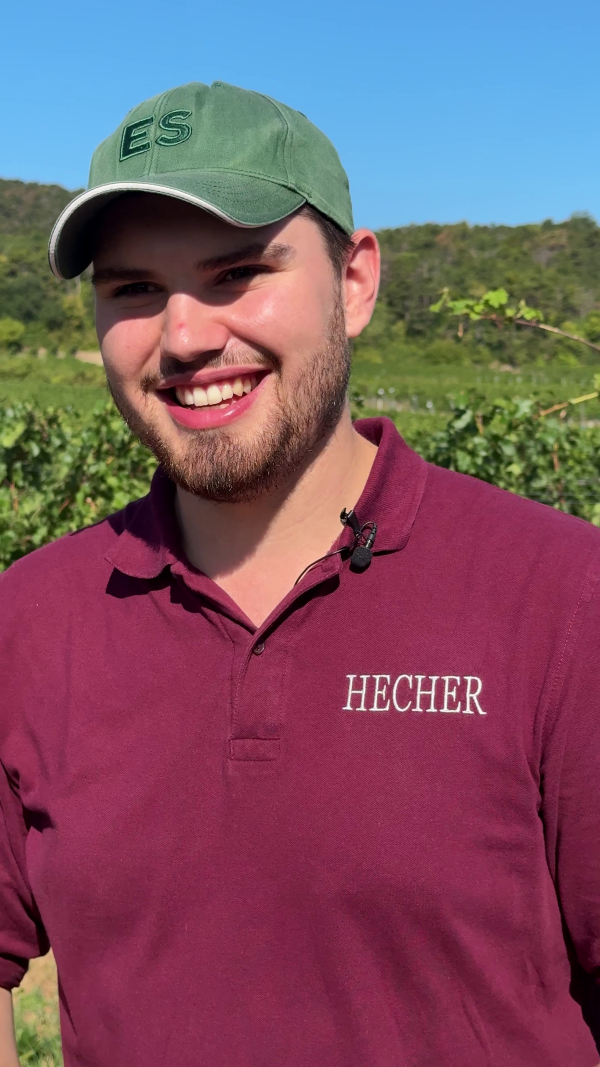 Ein Bild zeigt Michael Hecher vom Weingut Hecher in Sooß.