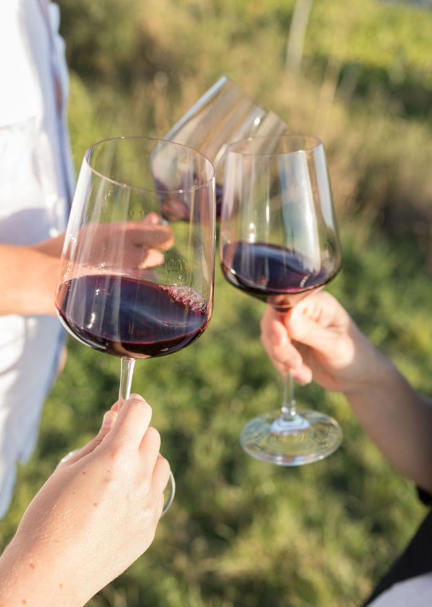 Drei junge Personen stoßen mit Rotwein im Weingarten an.