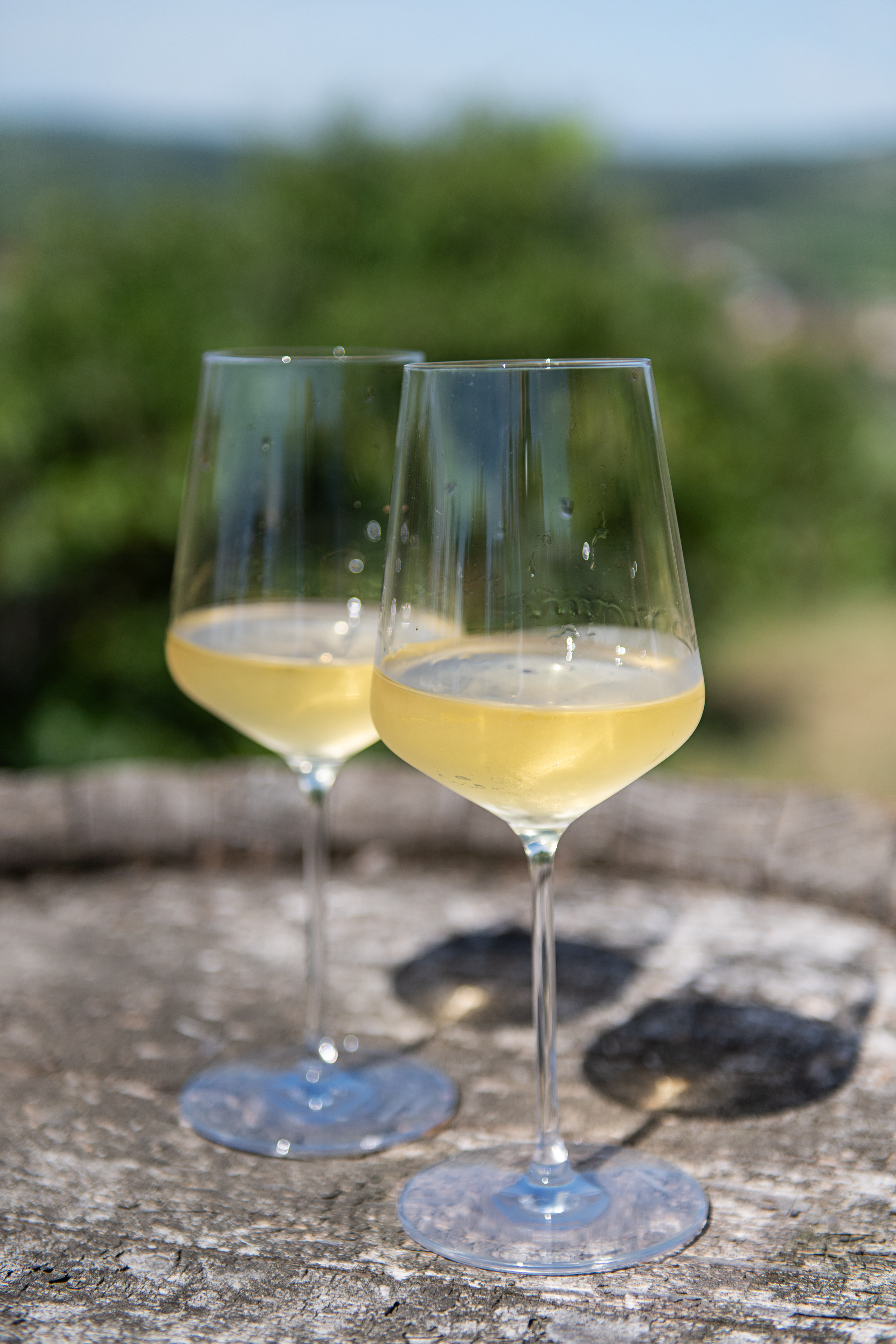 Zwei Gläser Weißwein, natural
