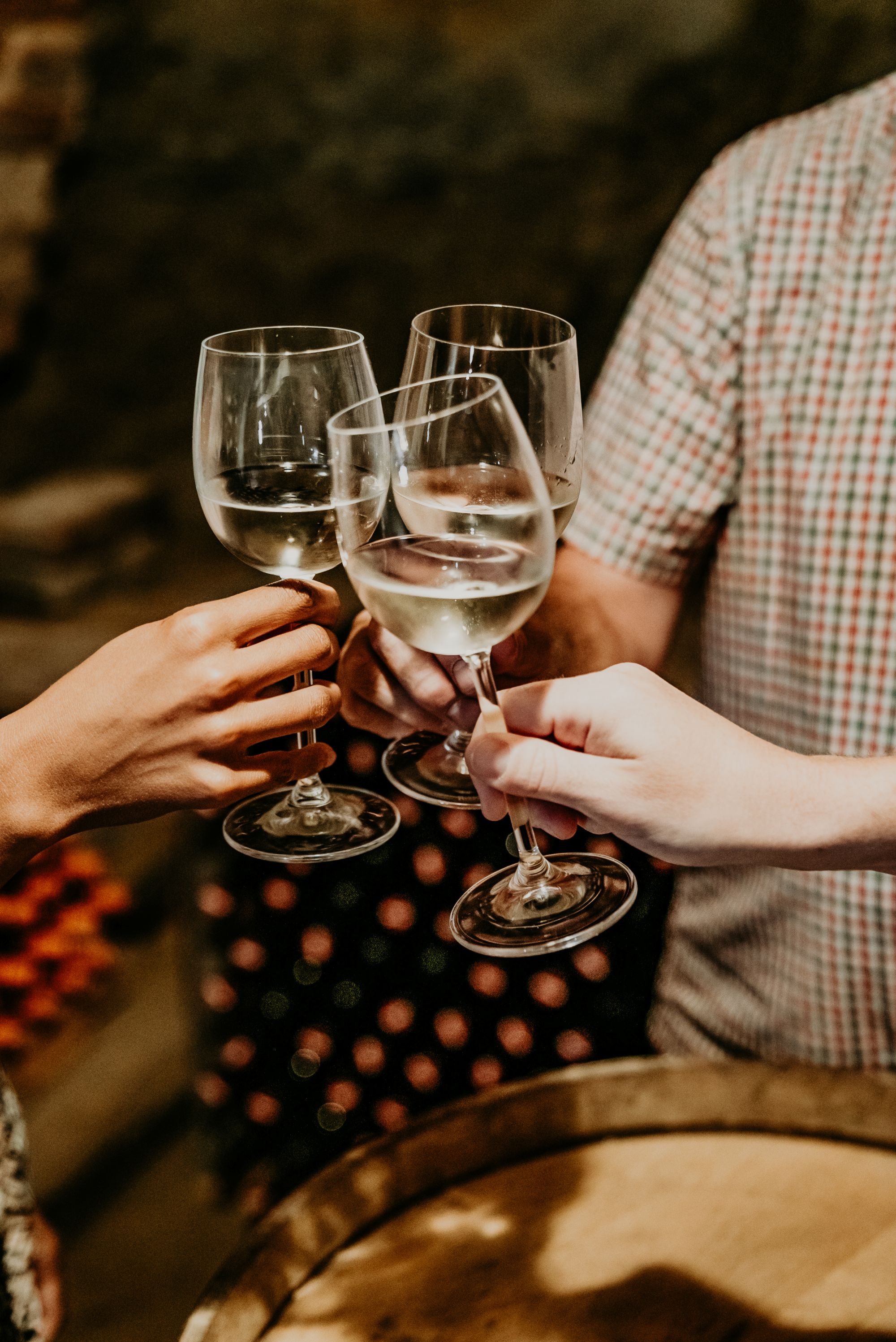 Ein Bild zeigt drei Menschen, die in einem Weinkeller mit ihren Weingläsern anstoßen.