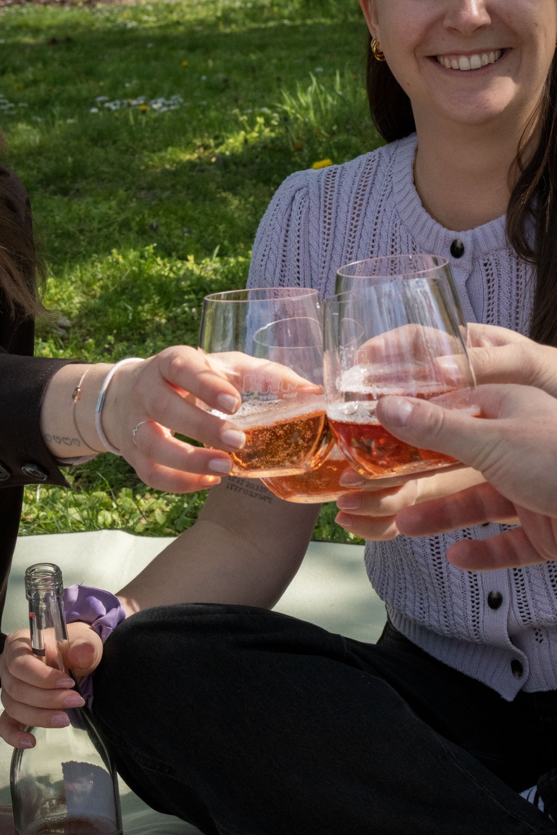Freundesgruppe trinkt Rosé aus Österreich beim Picknick.