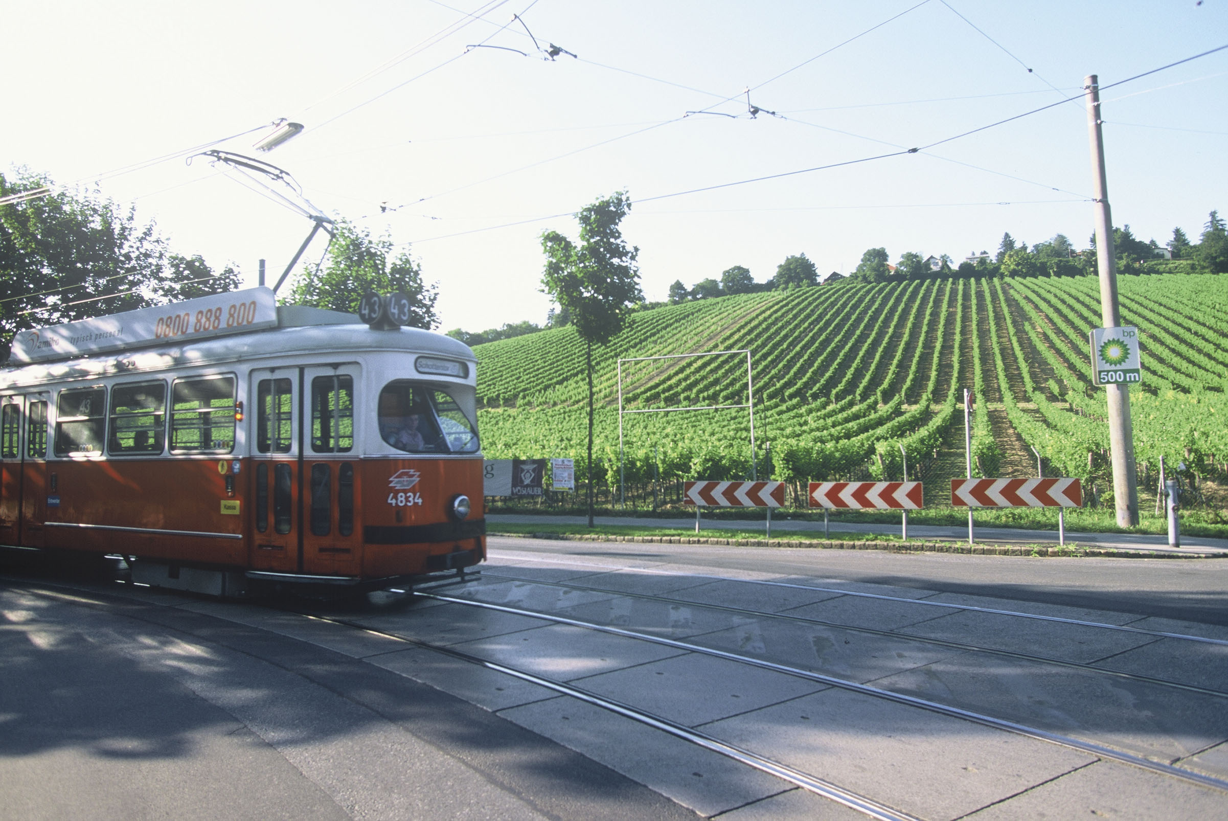 Ein Bild zeigt eine Wiener Straßenbahn, im Hintergrund ein Weingarten.