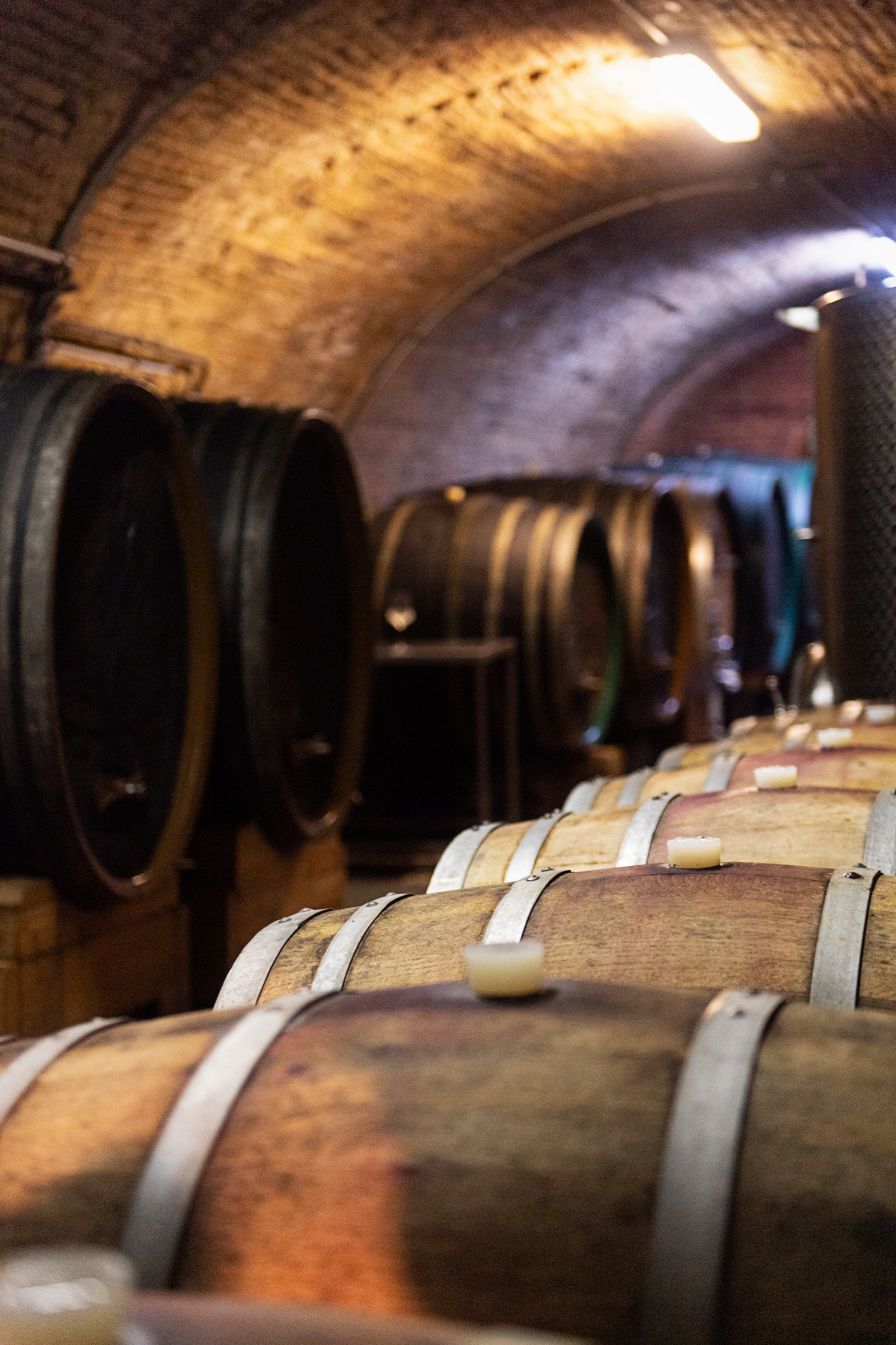 Holzfässer im Weinkeller